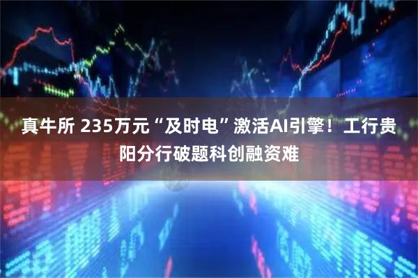 真牛所 235万元“及时电”激活AI引擎！工行贵阳分行破题科创融资难