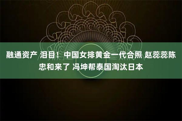 融通资产 泪目！中国女排黄金一代合照 赵蕊蕊陈忠和来了 冯坤帮泰国淘汰日本